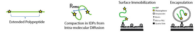 ssidbanner.gif
