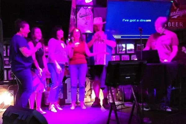 adult karaoke small.JPG