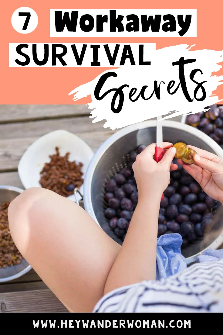 workaway survival secrets