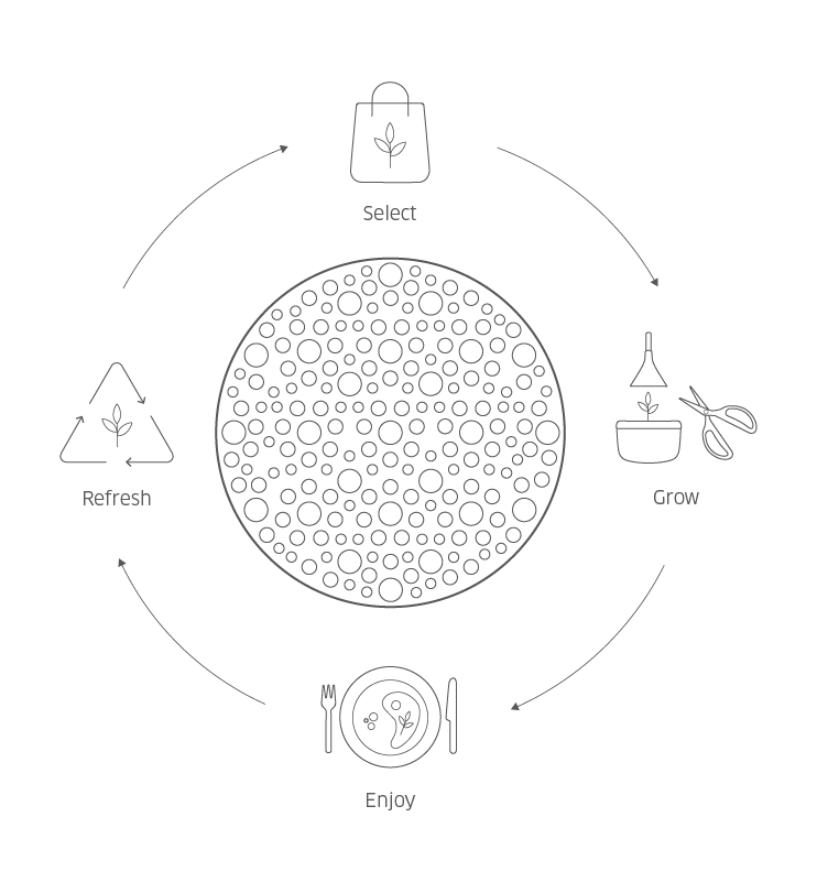 sIO cycle-01.png