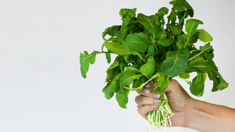 Header-Medium---Arugula.jpg