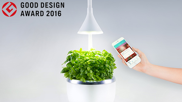 good+design.jpeg