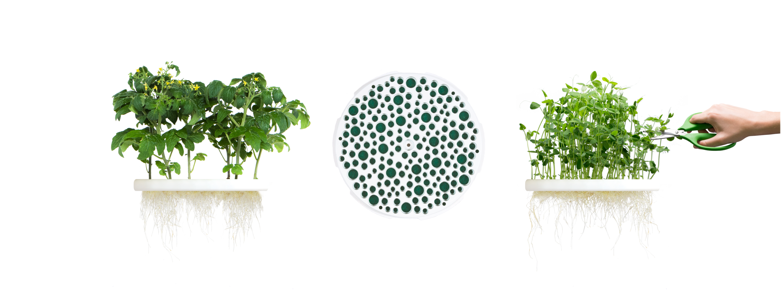 sIO Seed Refills.png