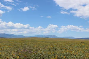 Huerfano Valley Ranch 4.jpg