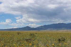 Huerfano Valley Ranch.jpg