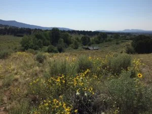 Beaver Hut Ranch2.jpg