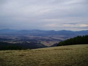 Forest Mountain 8.jpg
