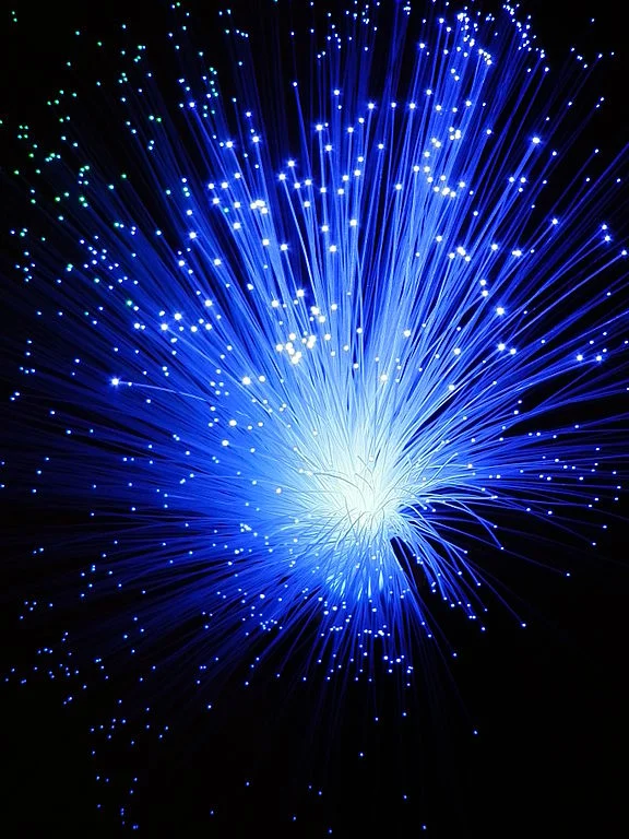 Controlling the Brain with Optogenetics