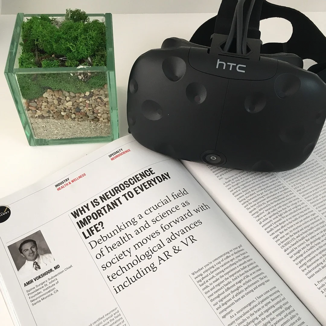 Why is Neuroscience Important to Everyday Life?