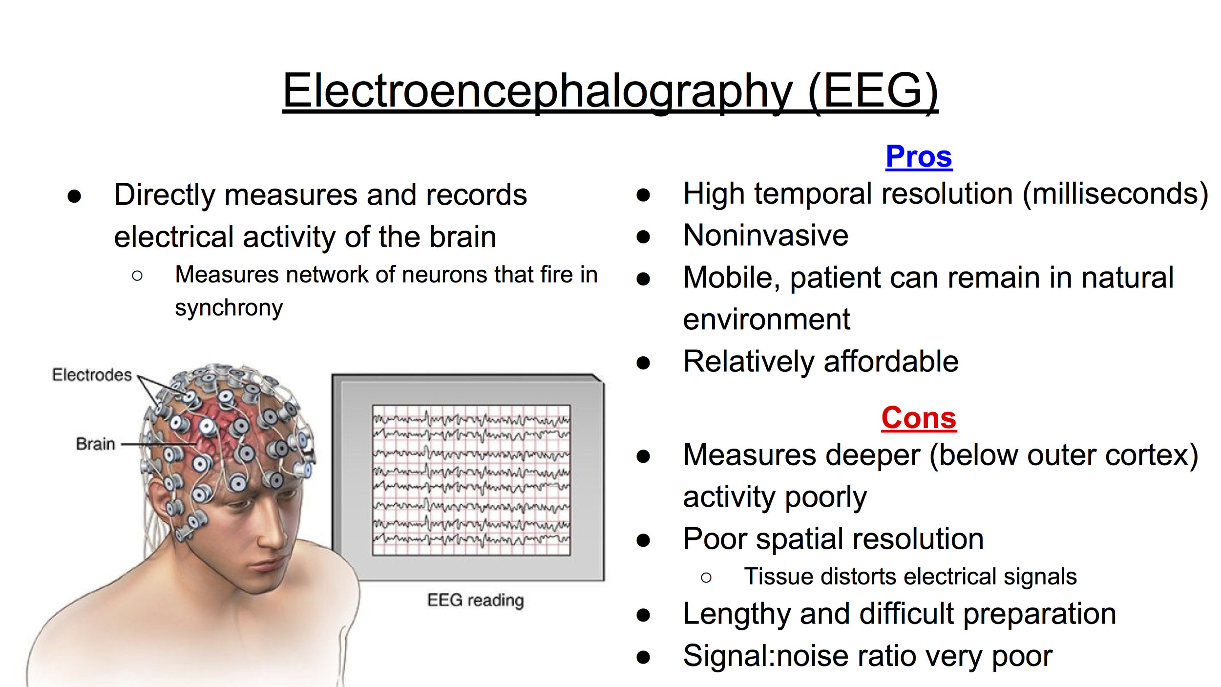 Functional NeuroImaging Techniques (EEG).jpg
