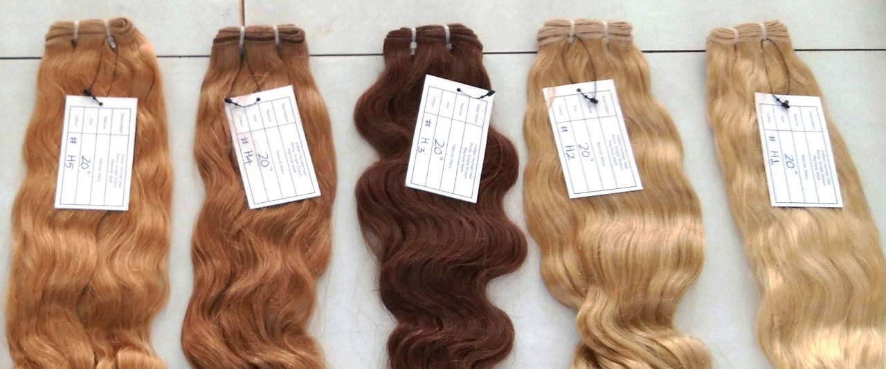 Blonde and Brown Clip Ons