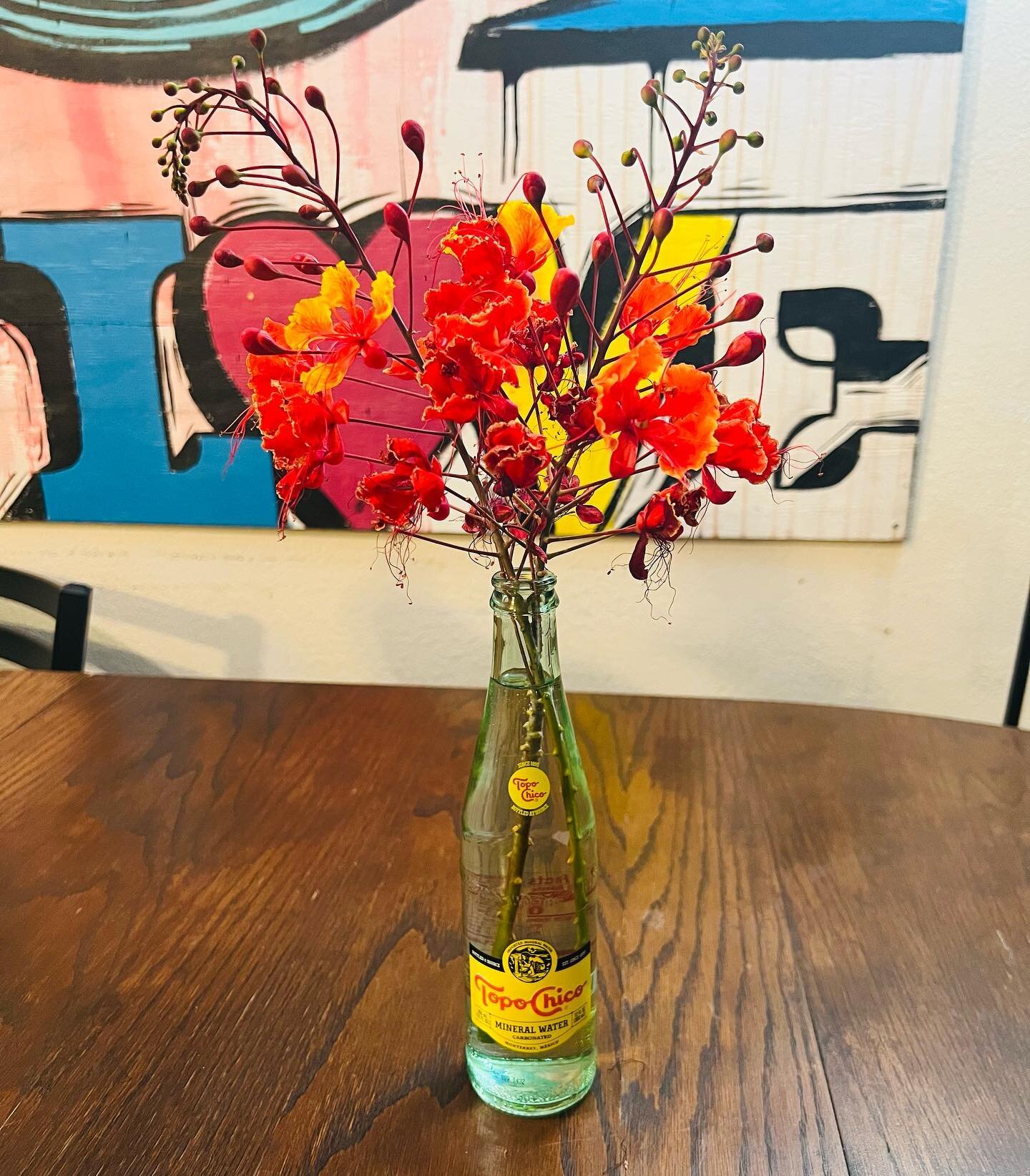 This past weekend dad came to visit and brought me flowers. Not from a grocery store or florist, but flowers he handpicked and cut fresh from his garden. These are called Mexican Birds of Paradise. The hummingbirds fight over the nectar, the sun ligh