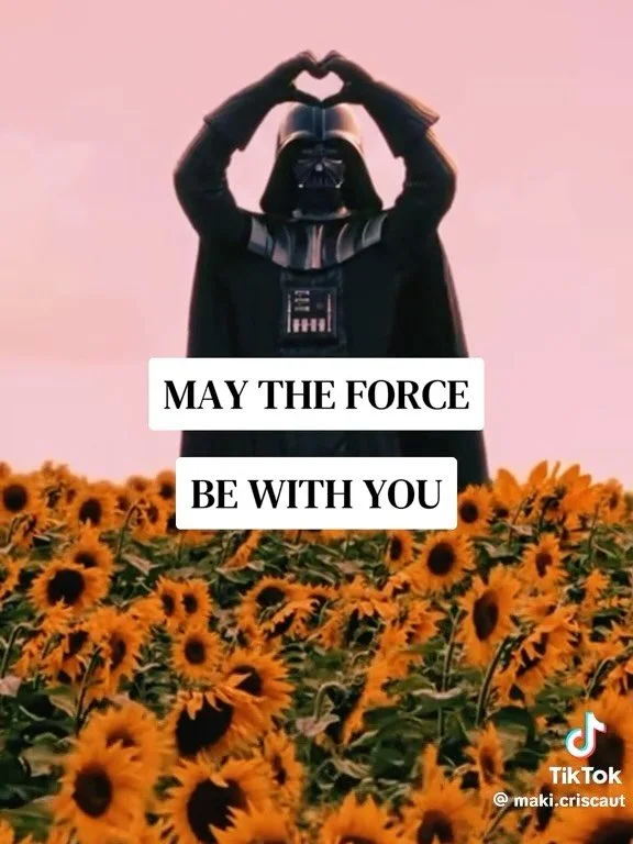 May the 4th be with you ✨ 

Love to the OG and newbie JedHeads, Sith supporters, Star Warriors, may we continue to find joy, metaphor and parallels for overcoming our own world. May the force stay strong during these times of Galactic Empire 
🖤🖤🖤
