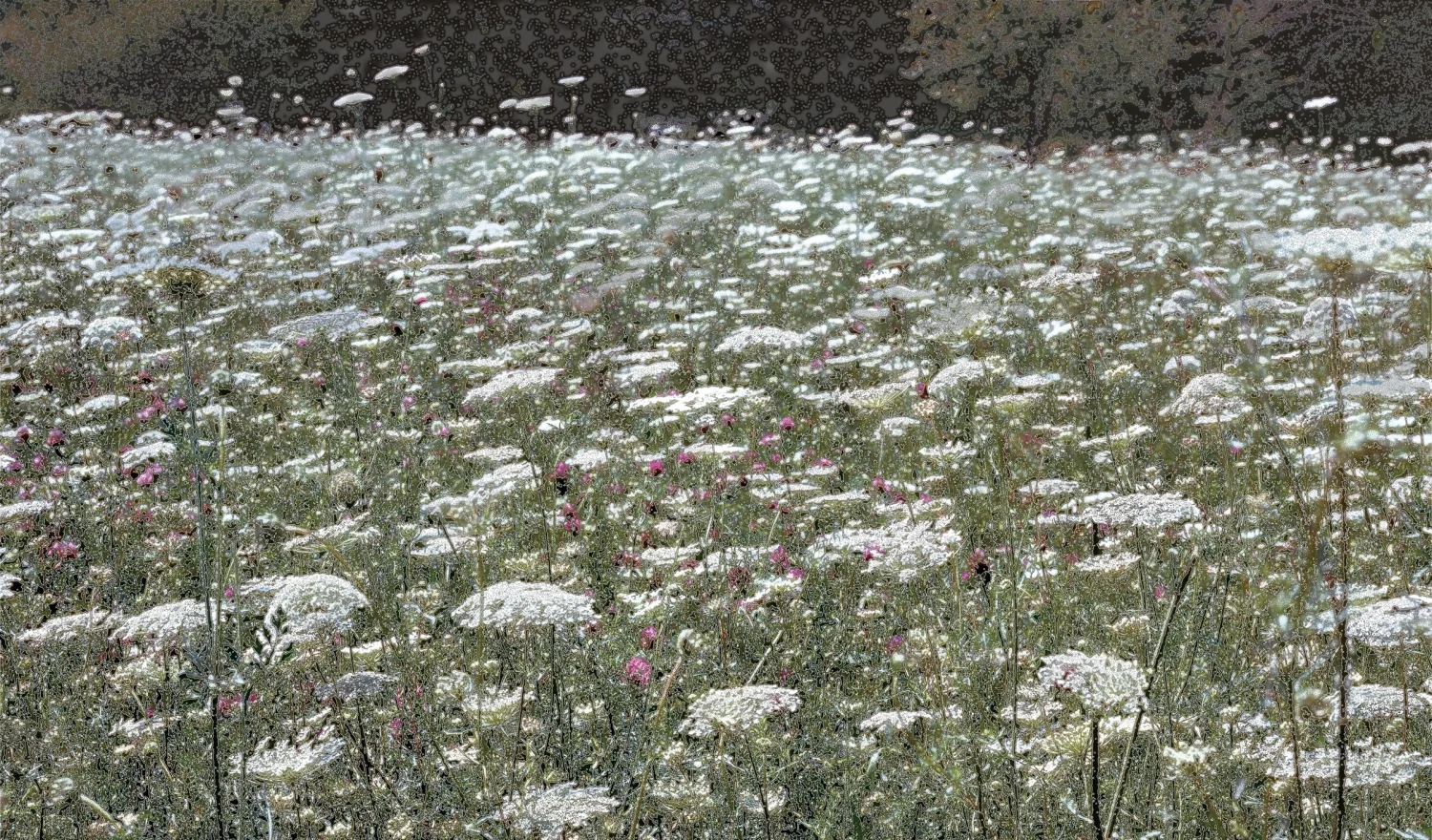 Scenapse_Field #8