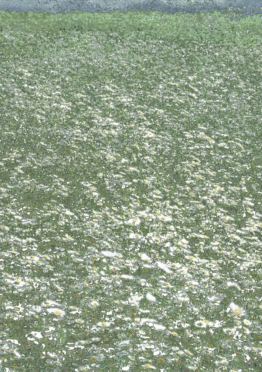 Scenapse_Field 10