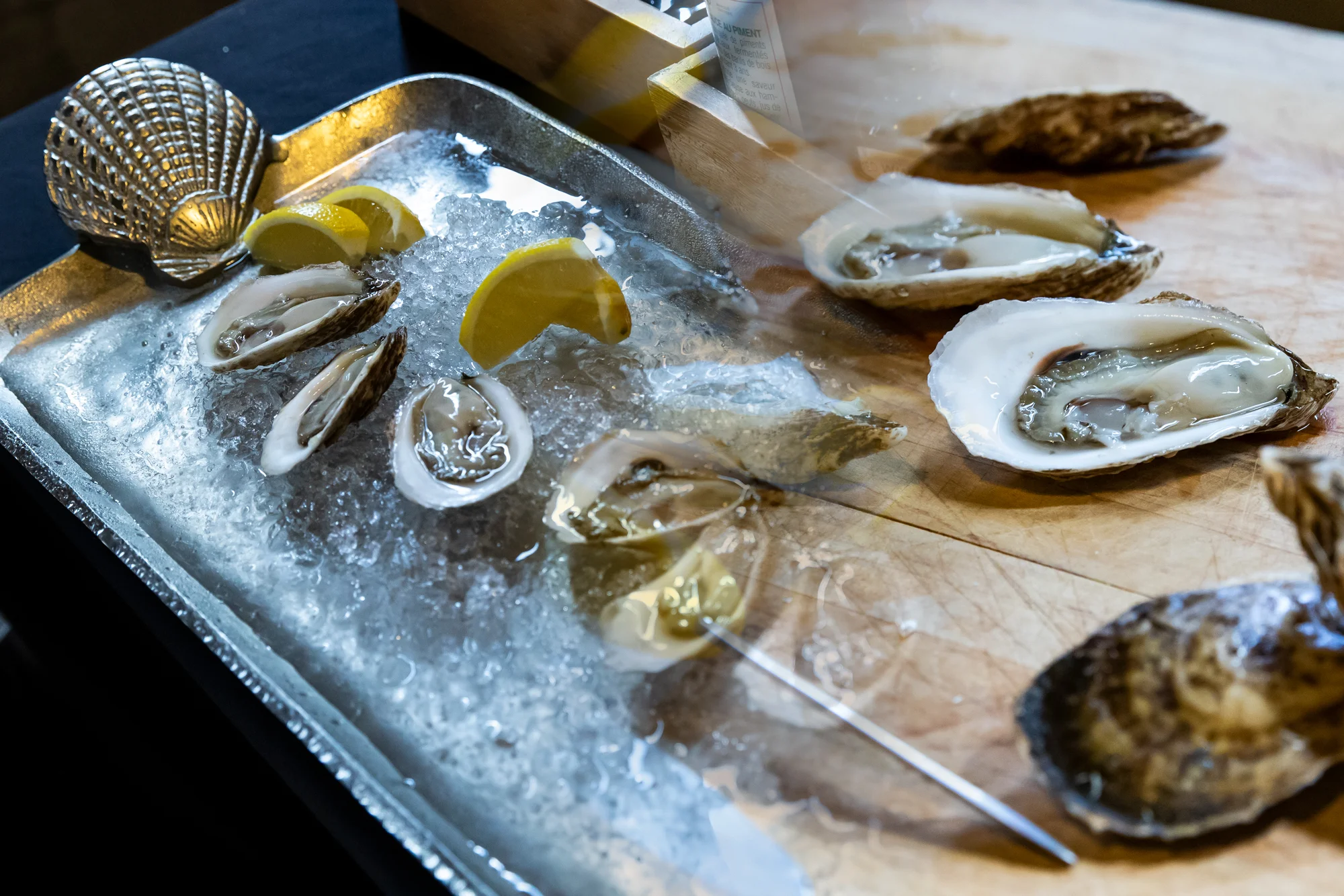 RST06793_oyster.jpg