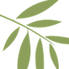 BlackWillowLeaf-green small.png