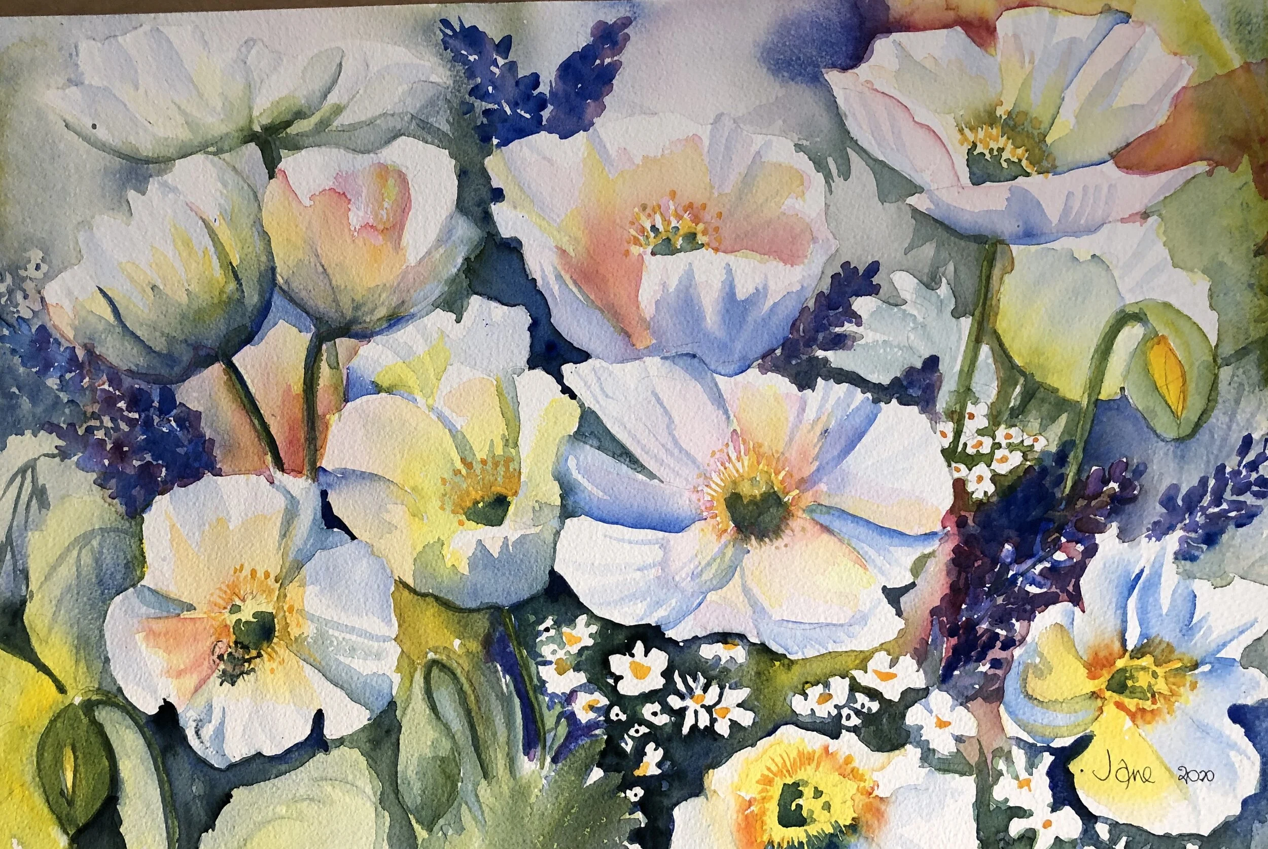 SPRINGTIME POPPIES  380mm x 560mm - unframed  $450   ENQUIRE