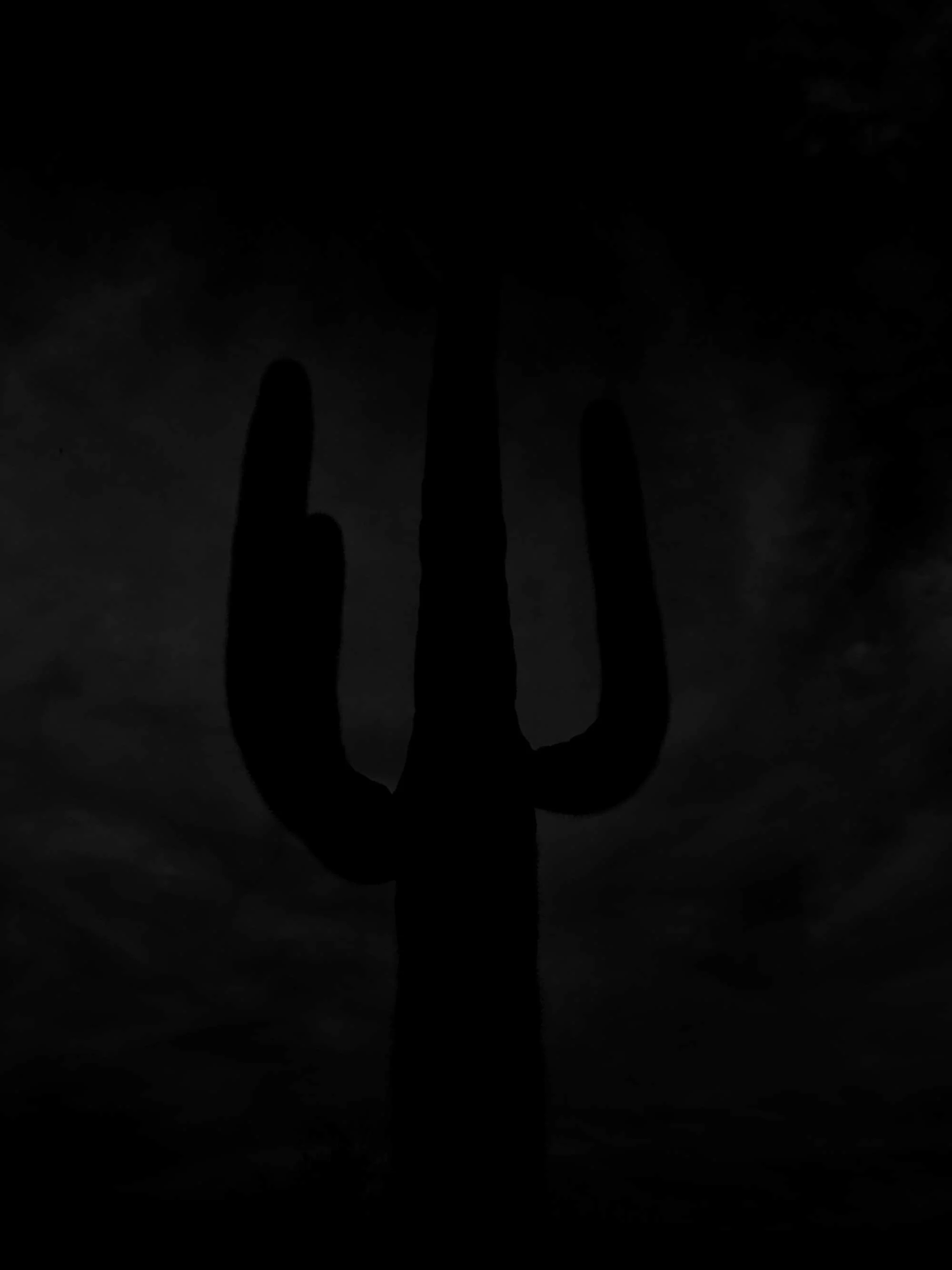 CACTUS-BLACK-FOR-SITE-TALL.jpg