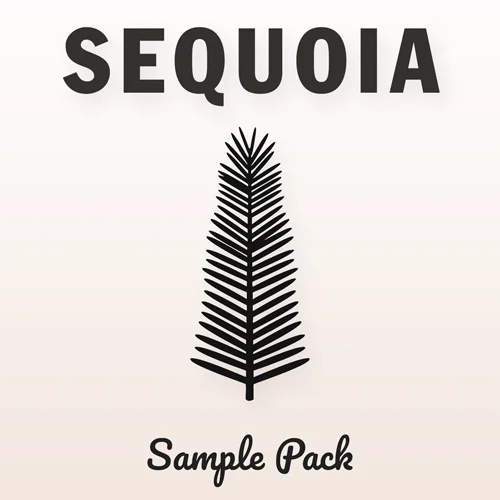 SEQUOIA-COVER-ALBUM-NOT3D.jpg