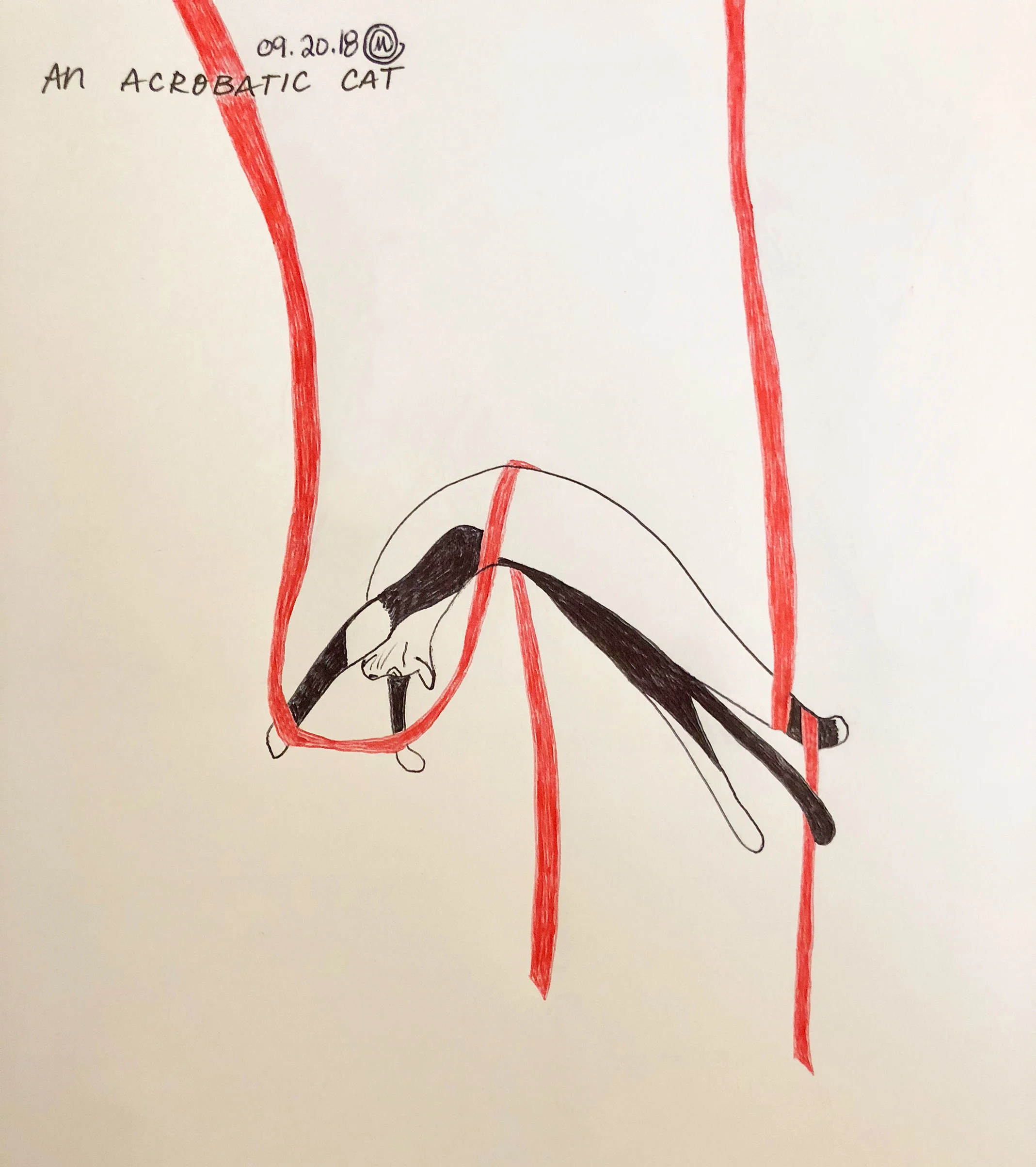 An-Acrobatic-Cat-092018-wv.jpg