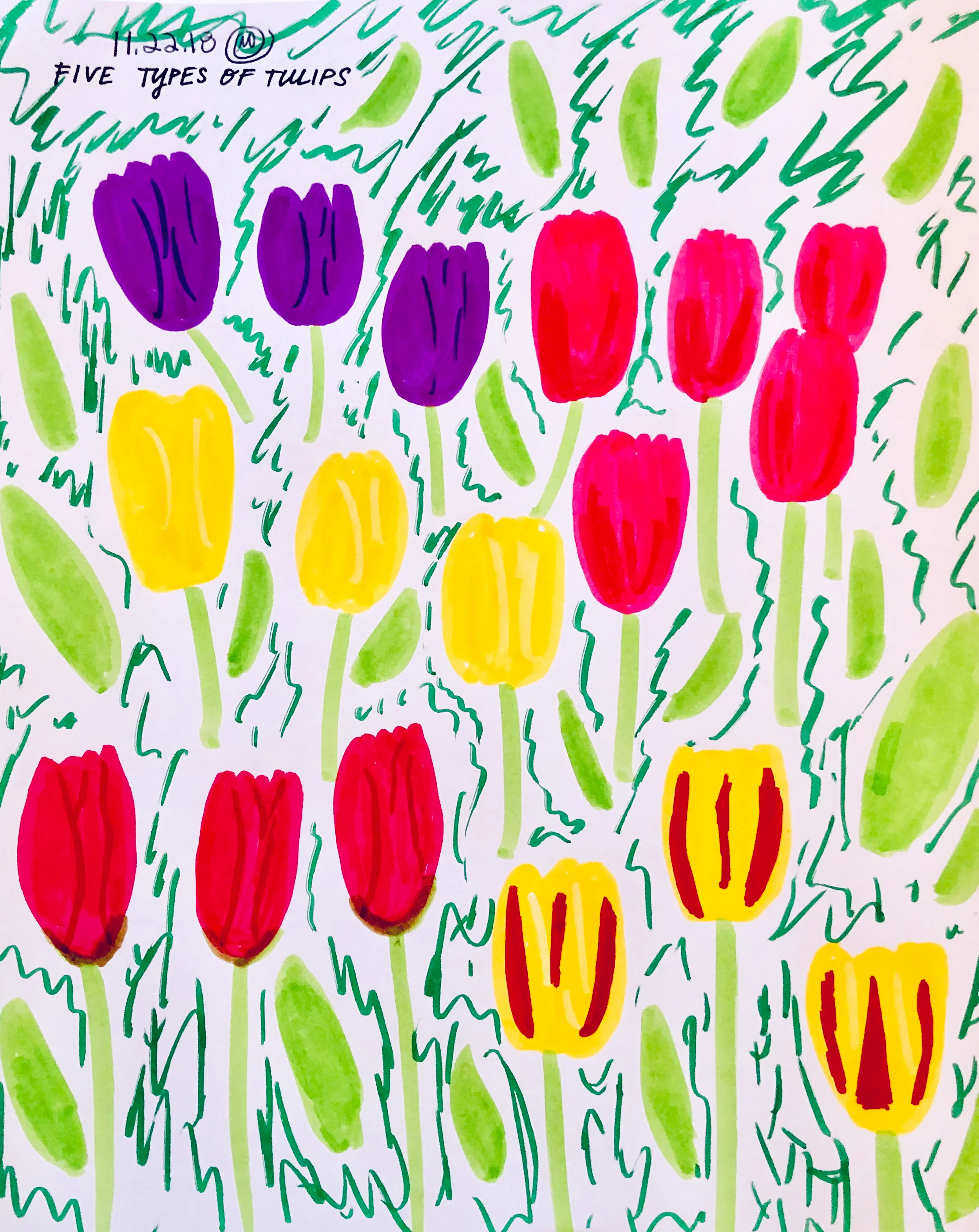 Tulips 112618.jpg