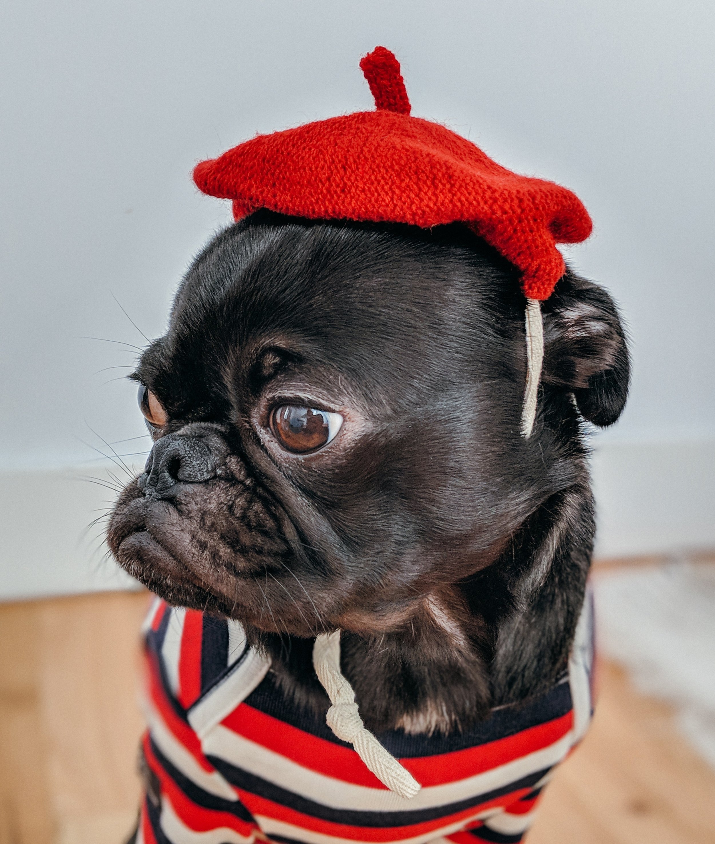 charles-deluvio-703834-unsplash.jpg