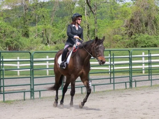 The Sights, The Sounds, The Smells of Mane Stream