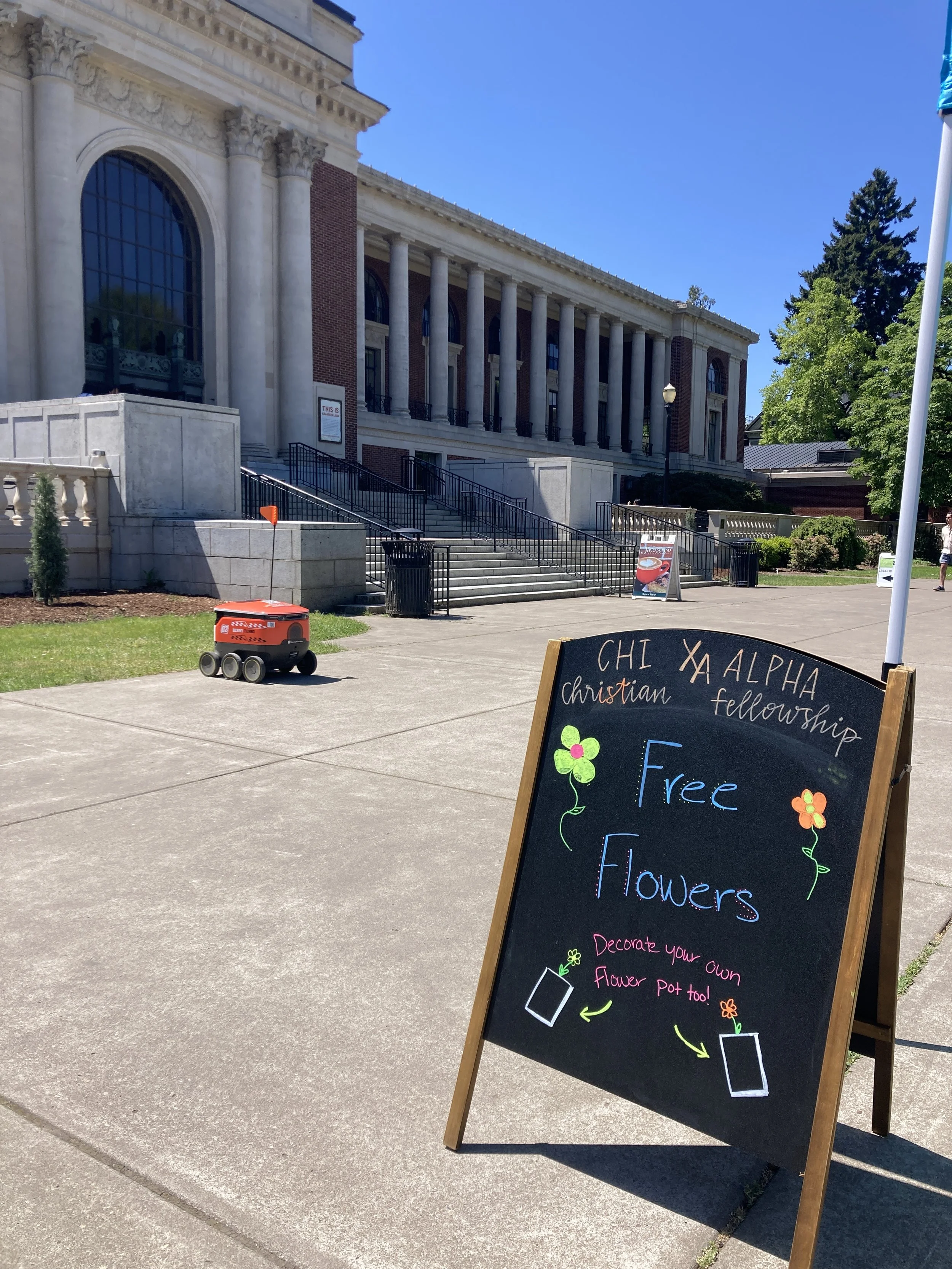 Build Your Own Plant! 🪴 