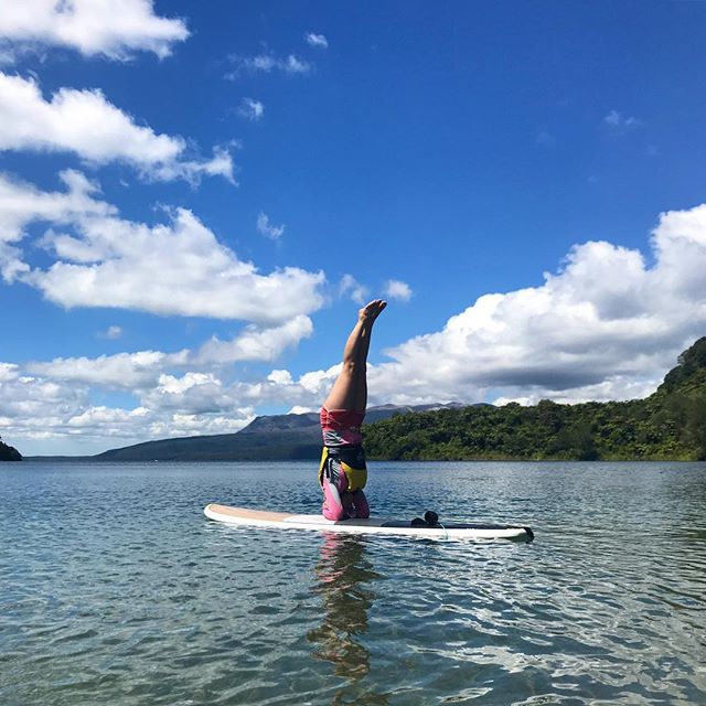 This awesome customer said she might fall in and was unsure if she could paddle board well! By the end of our tour this happened!! Come give it a try for yourself
..
.
.
.
. .
#paddleboarding #paddleboardrotorua #rotoruanz #sup #yoga