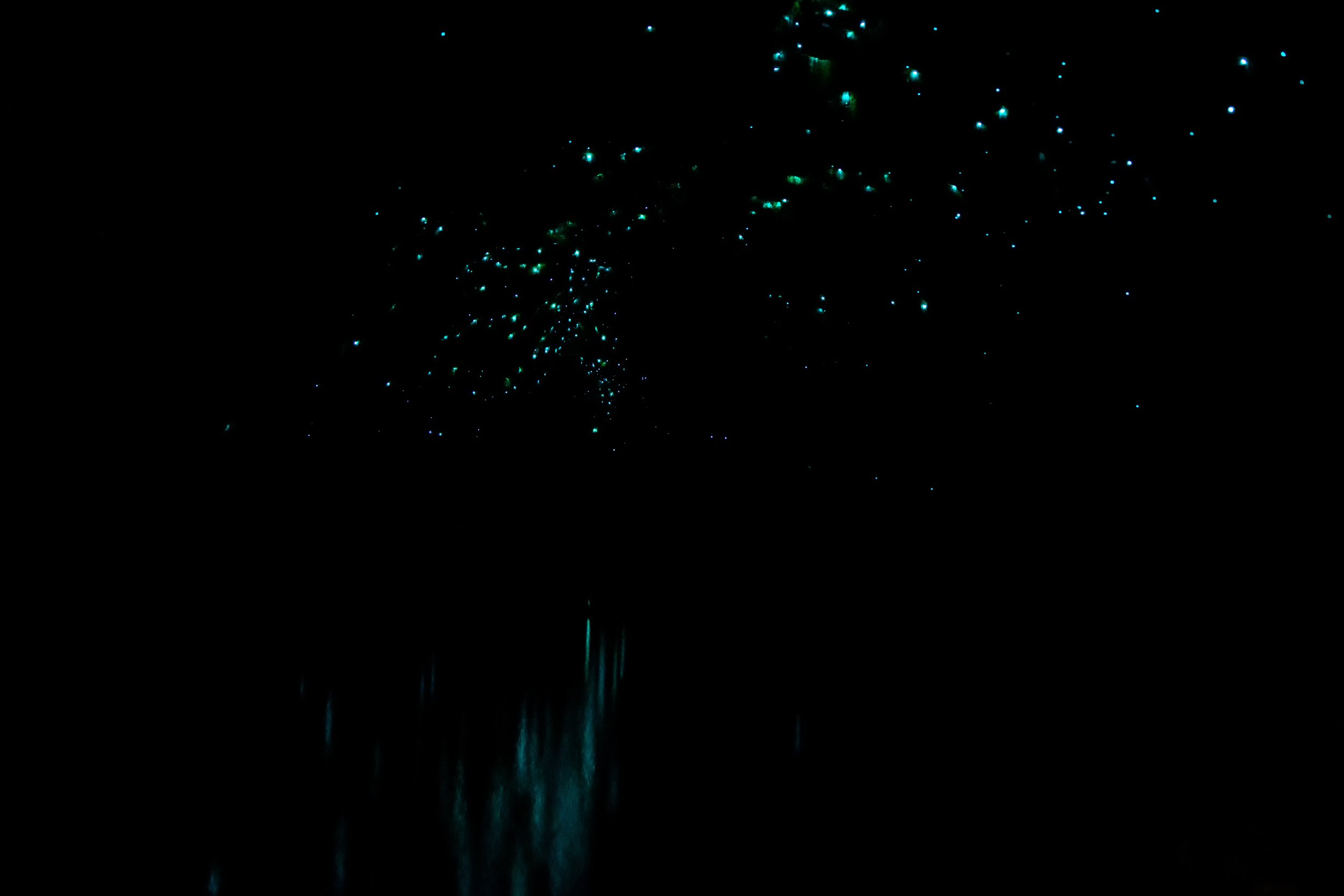 Magical Glow Worm Cave Reflection.jpg