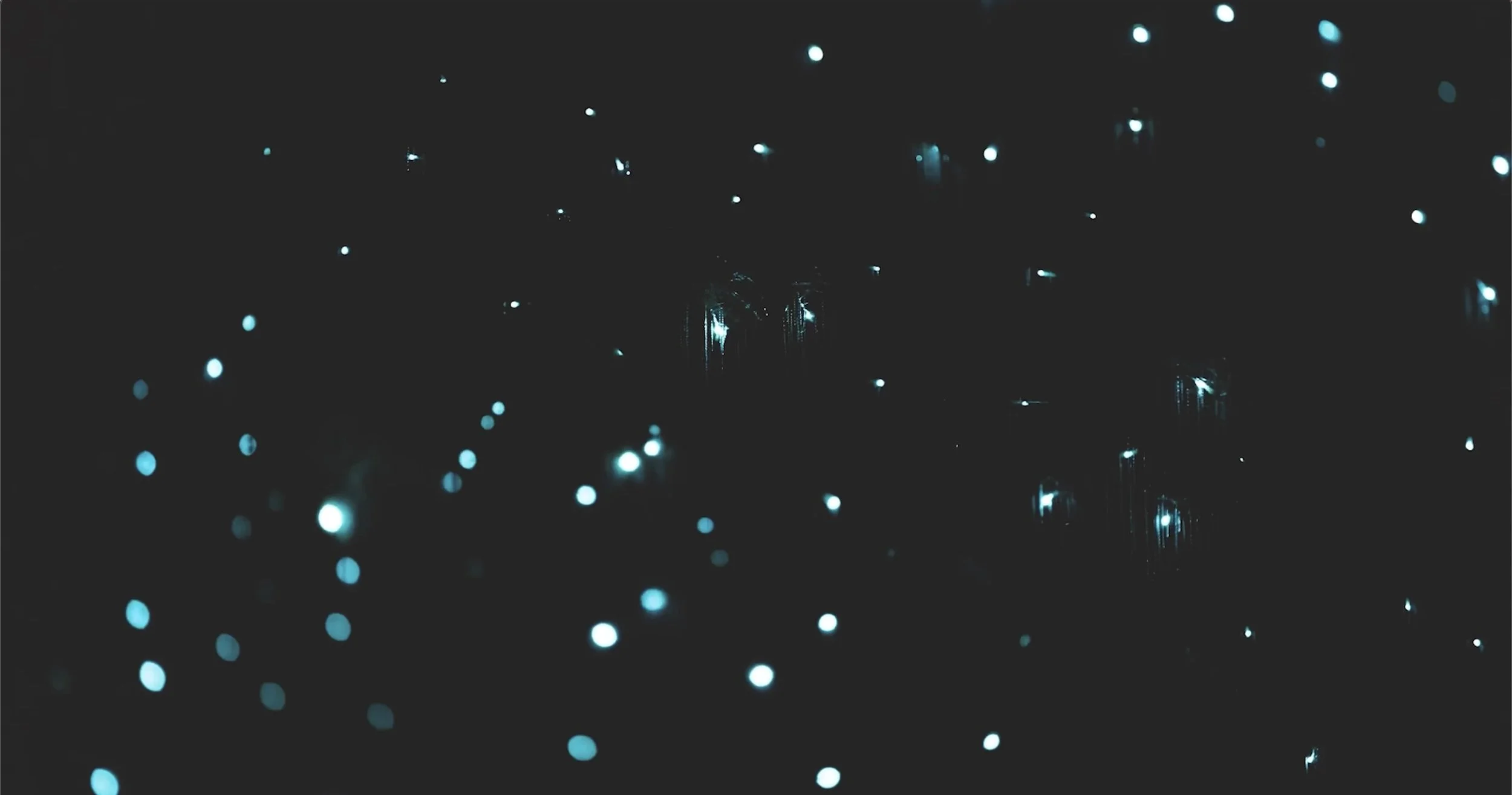 Screenshot 2024-05-23 at 8.41.49 PM.jpeg