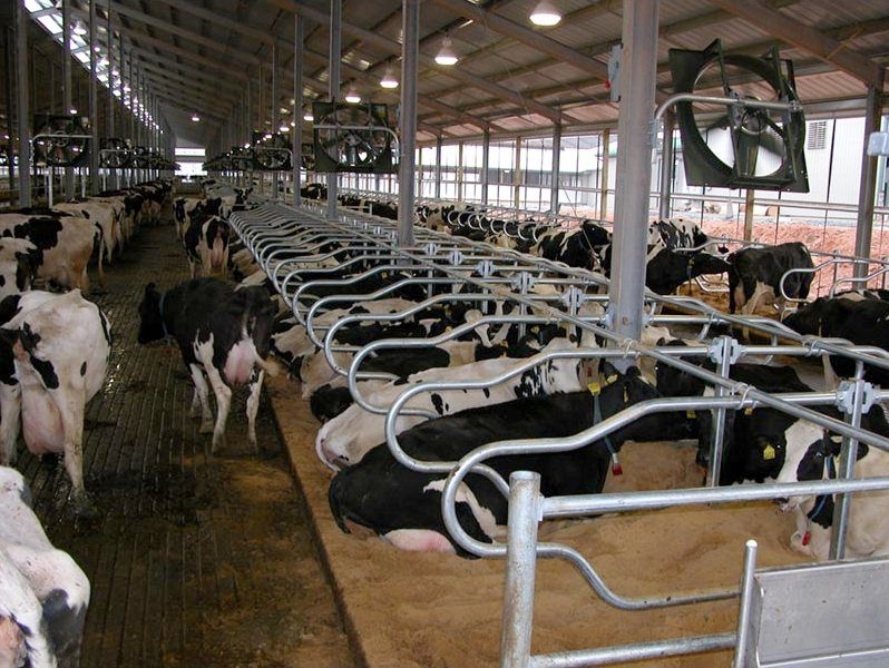 Think CowPower.jpg