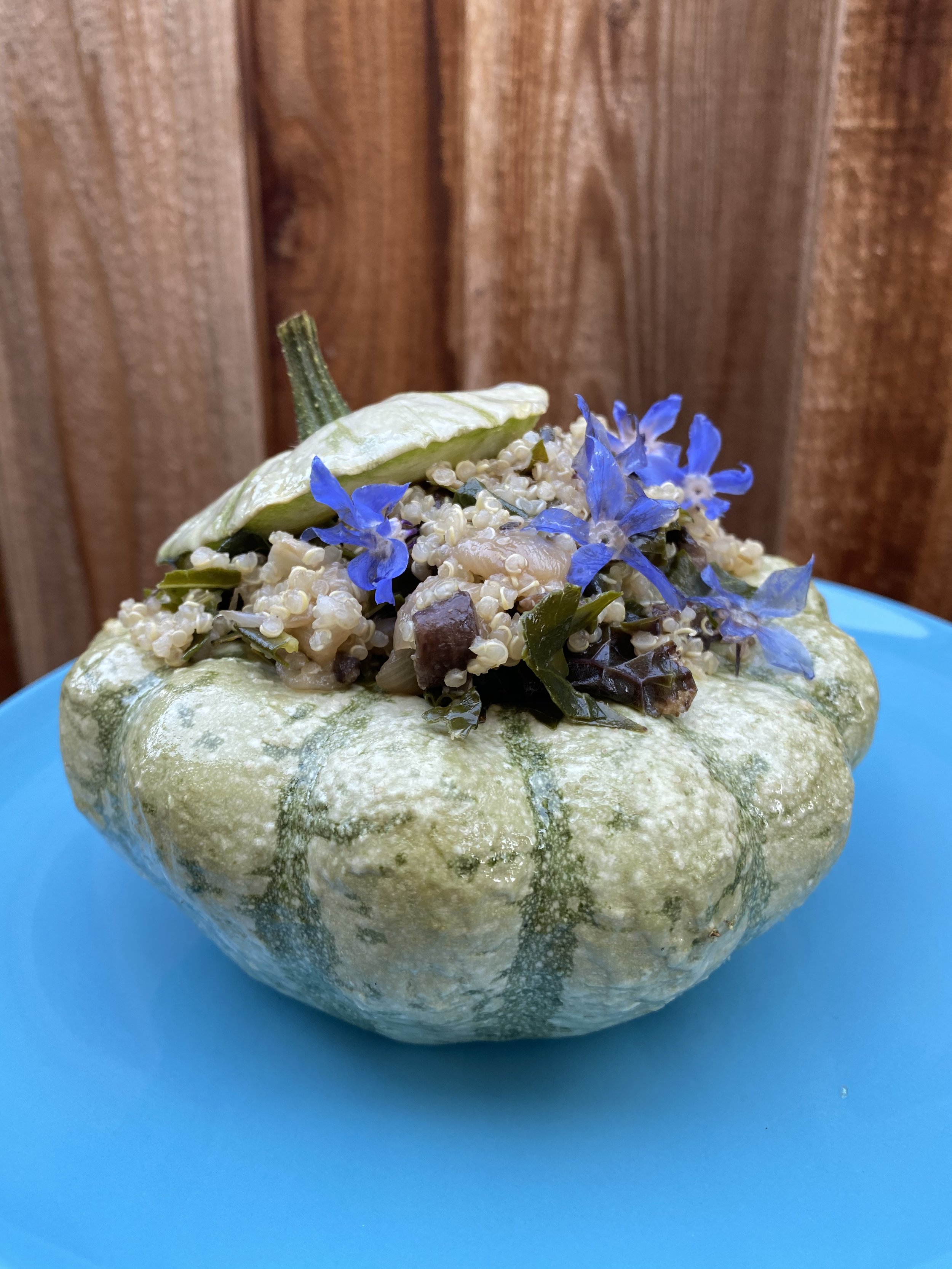 stuffed squash.JPG