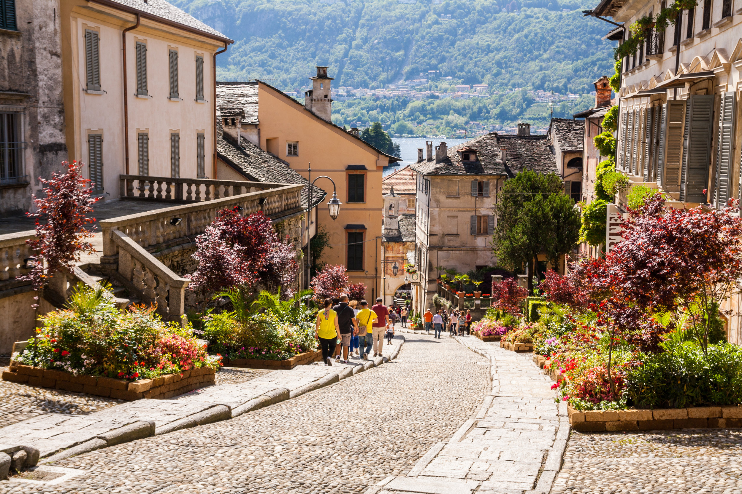 AdobeStock_120559153.jpeg