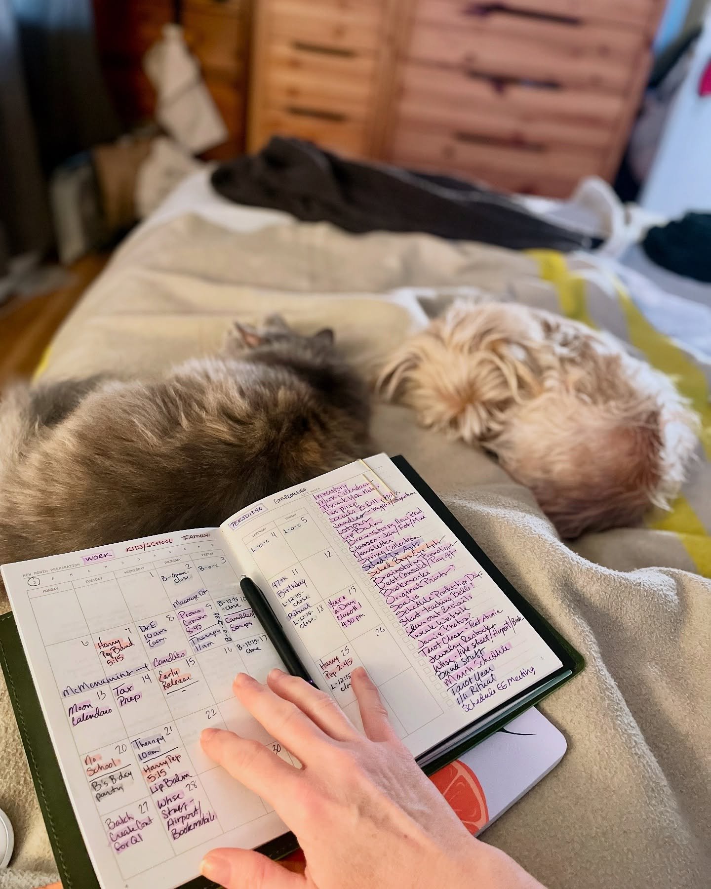 Starting this morning off slow with my weekly planning and these three b&eacute;b&eacute;s (not pictured is Loki who is snuggled up under the covers!)

I&rsquo;m making the conscious choice this year to set aside slow morning time to gather my though