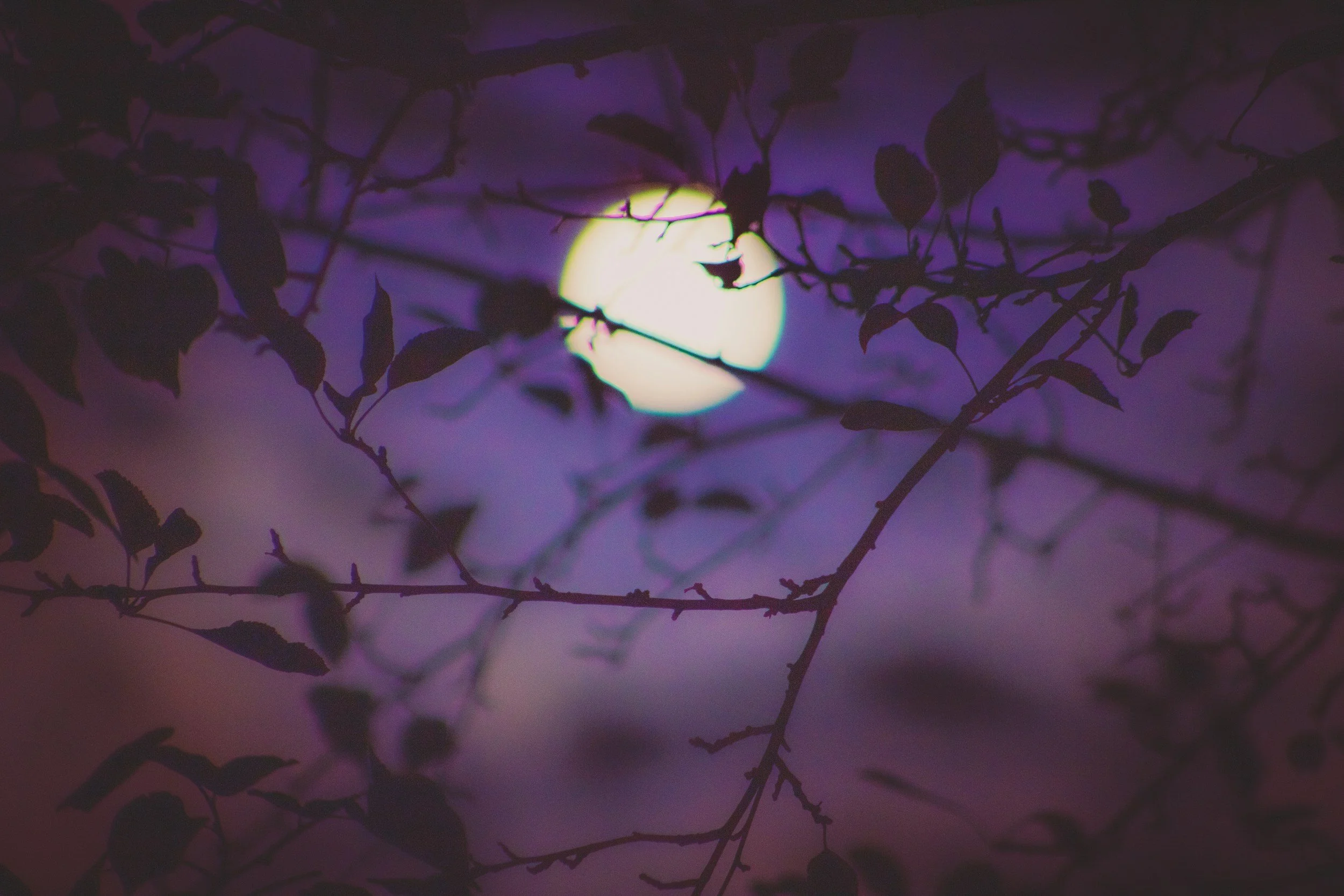 Full Buck Moon in Capricorn: Shedding, Grief and Still Moving Forward with Intention and Vision...