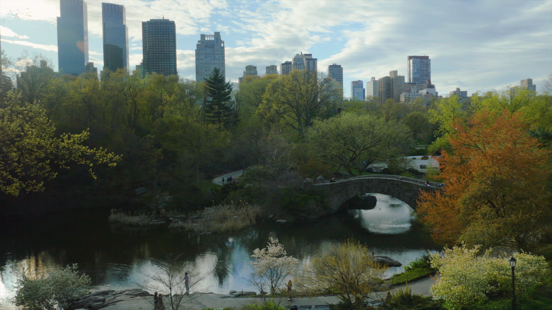 negotiating-with-nature-central-park.png