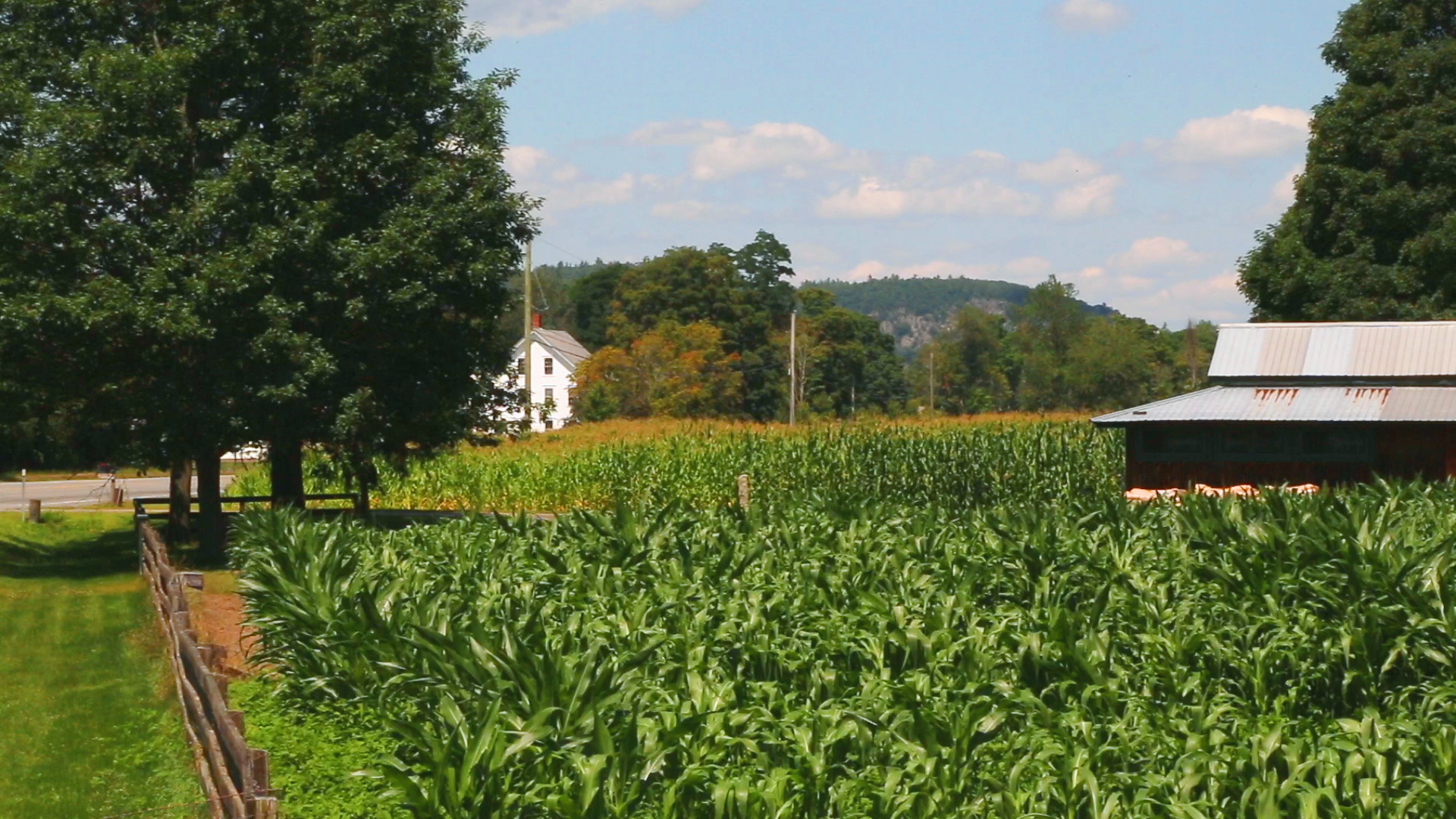 negotiating-with-nature-farm.png