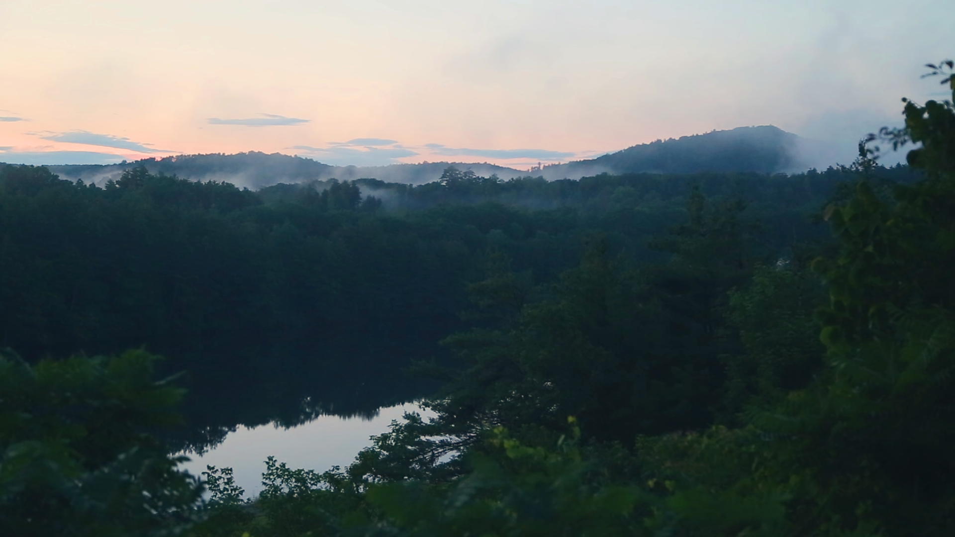 negotiating-with-nature-foggy-forest.png