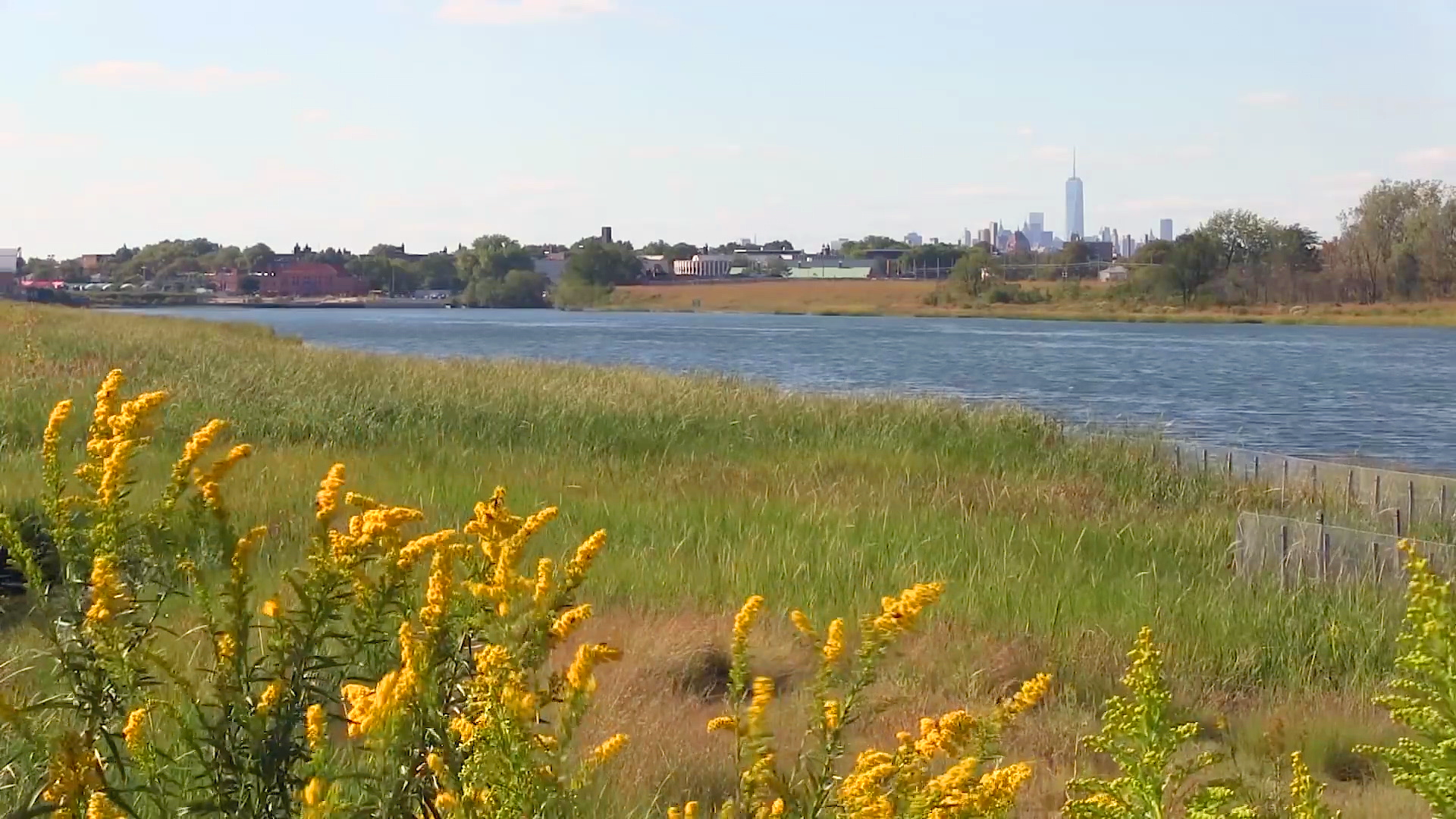 negotiating-with-nature-nyc-wetlands.png