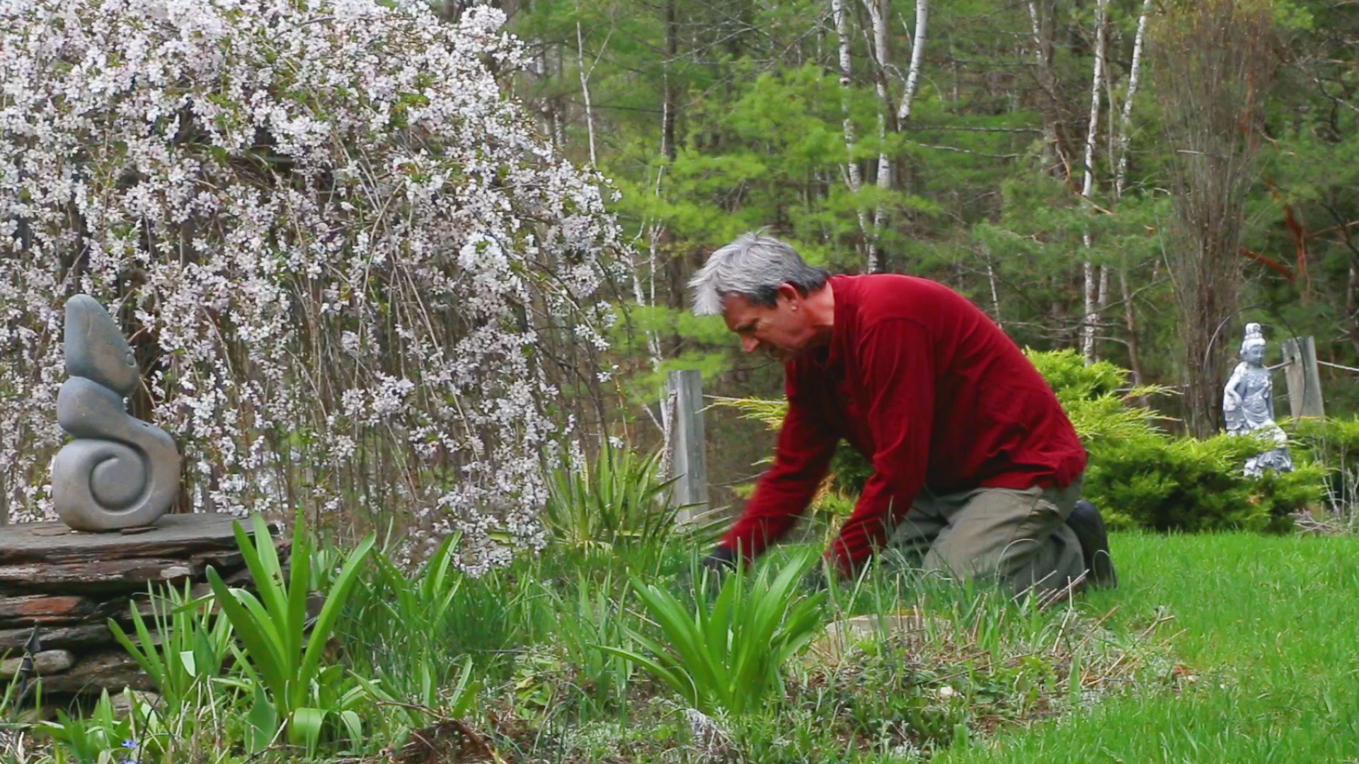 negotiating-with-nature-stefan-van-norden-gardening.png