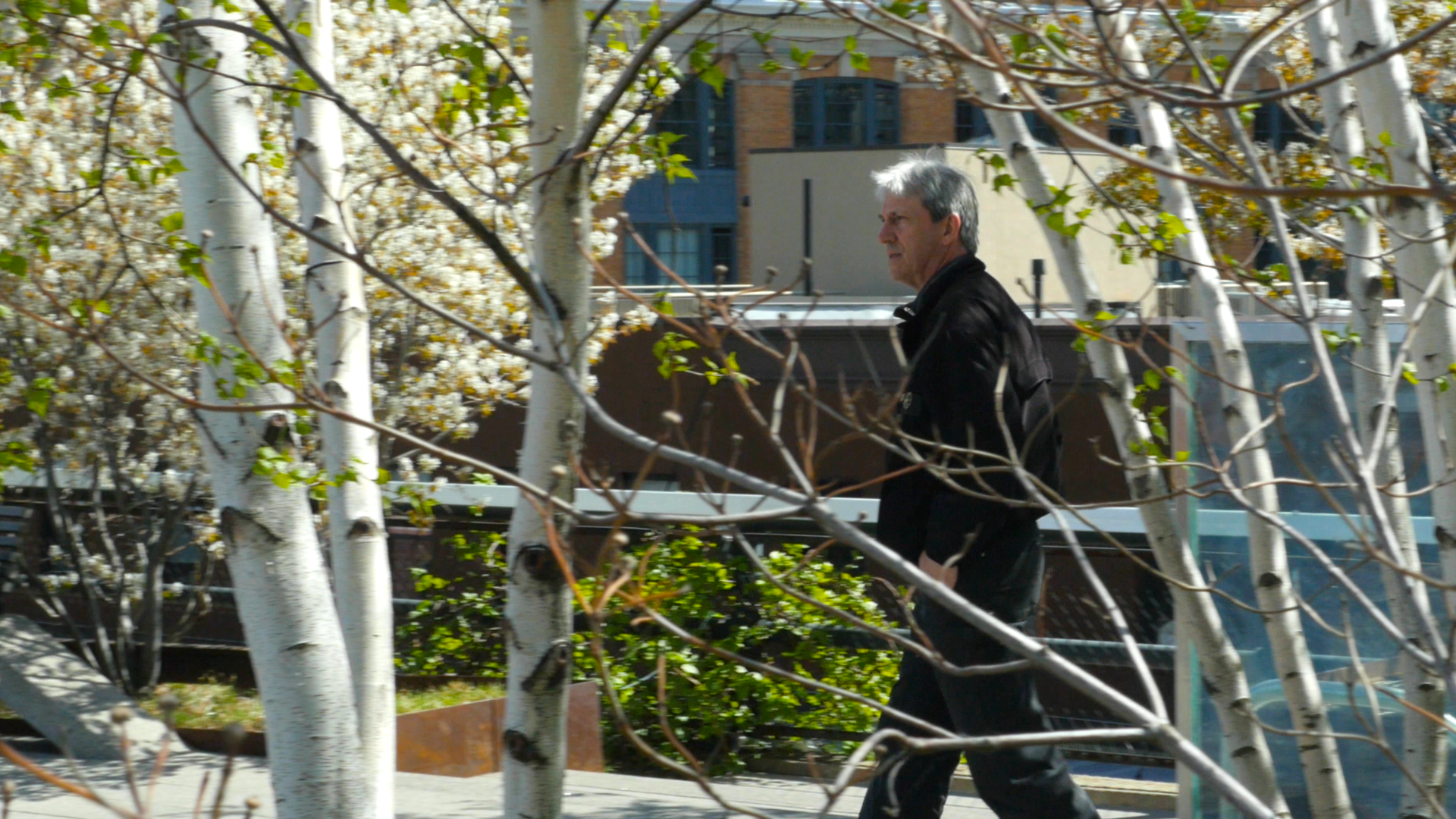 negotiating-with-nature-stefan-van-norden-walking-the-high-line.png