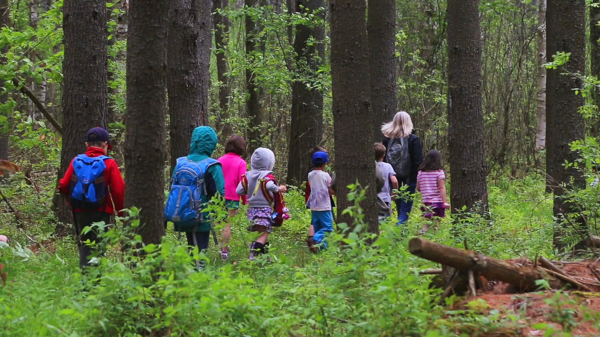 negotiating-with-nature-teacher-with-children-in-woods.png