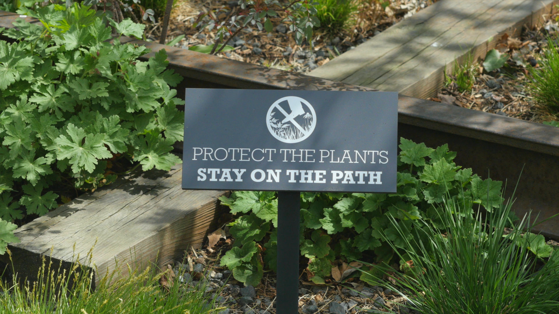 negotiating-with-nature-the-high-line-protect-the-plants-sign.png