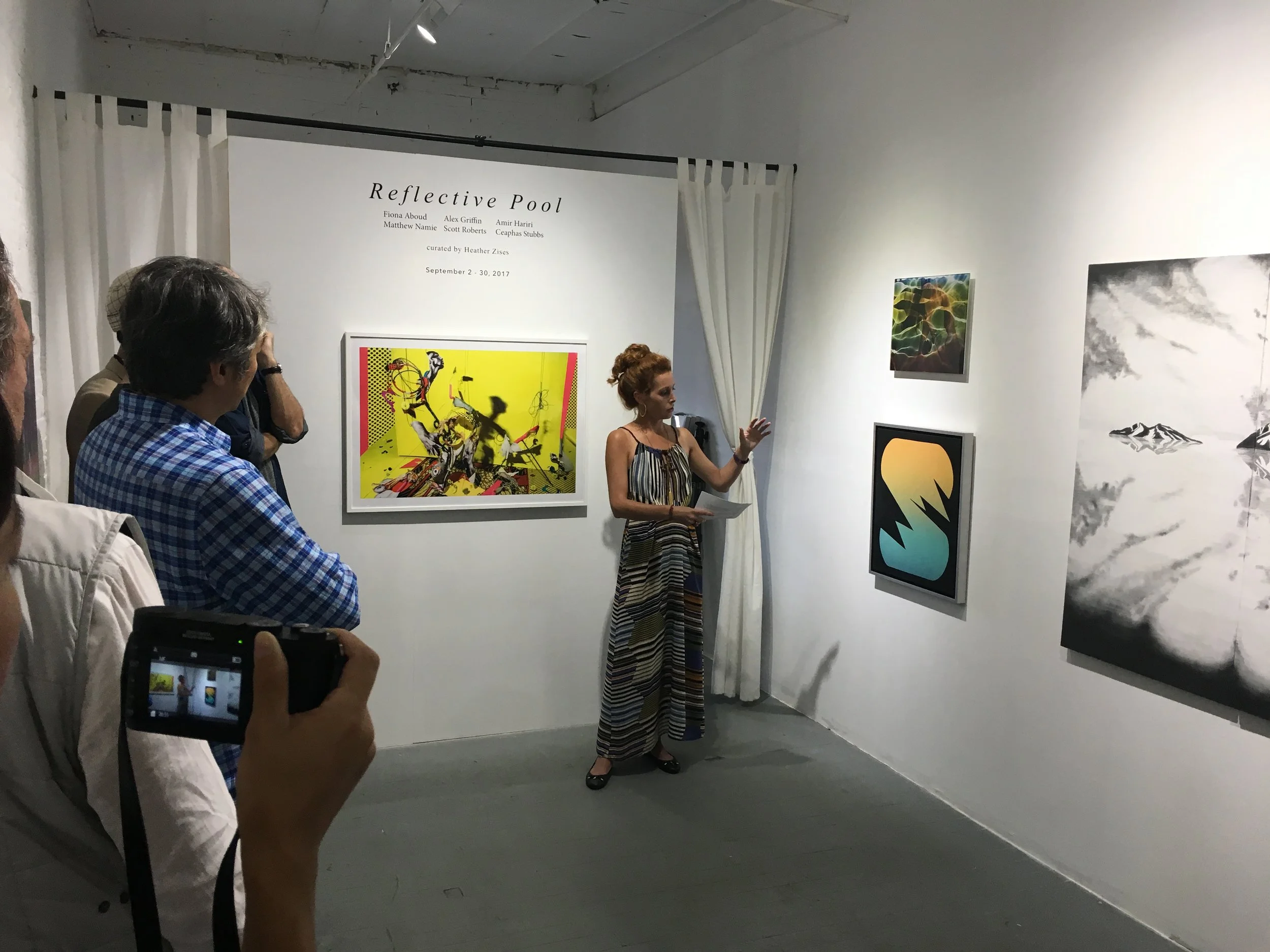 reflective-pool-heather-zises-curatorial-talk.jpg