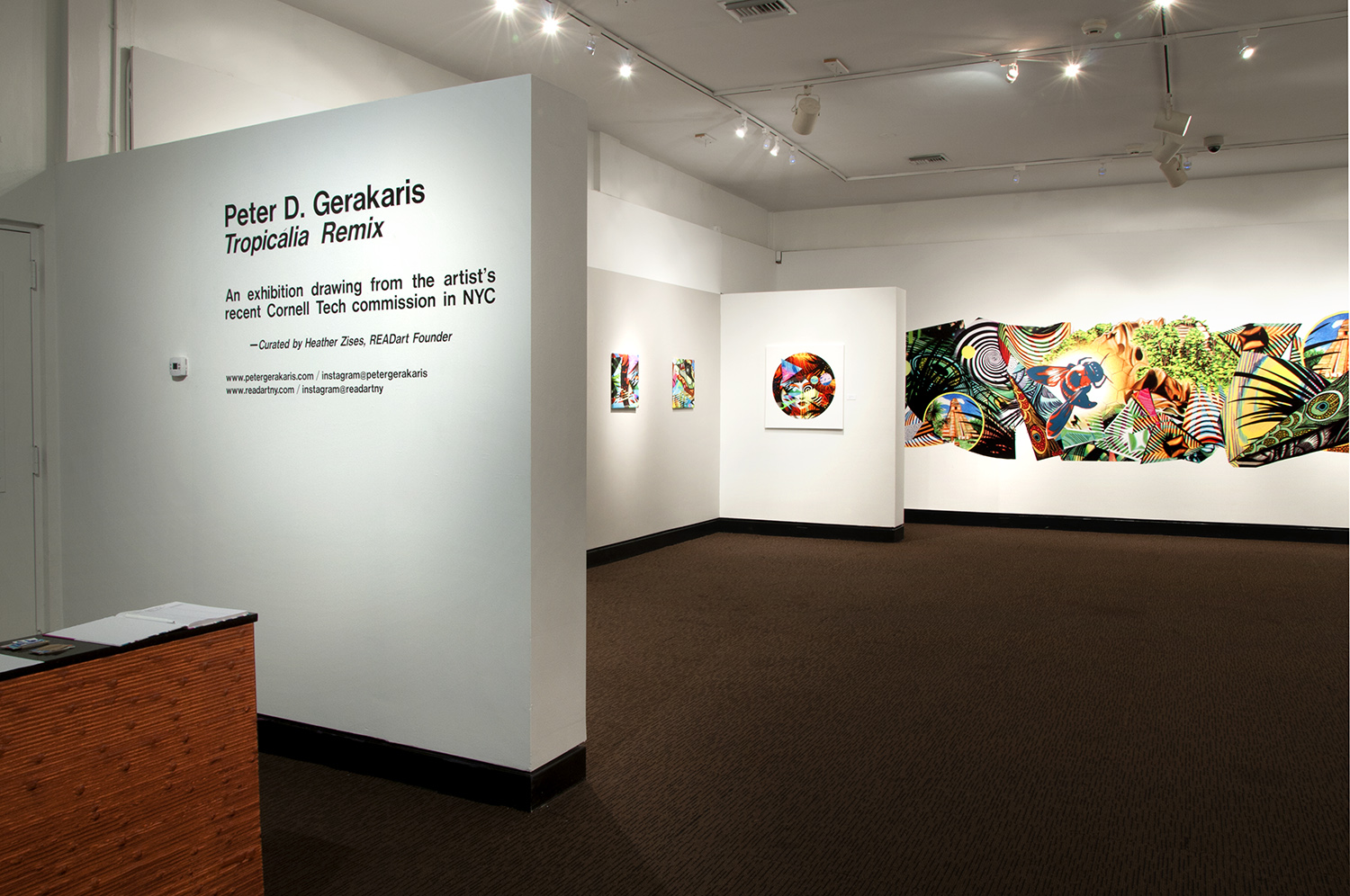 peter-d-gerakaris-tropicalia-remix-installation-view-DSC_7457-1500px.jpeg