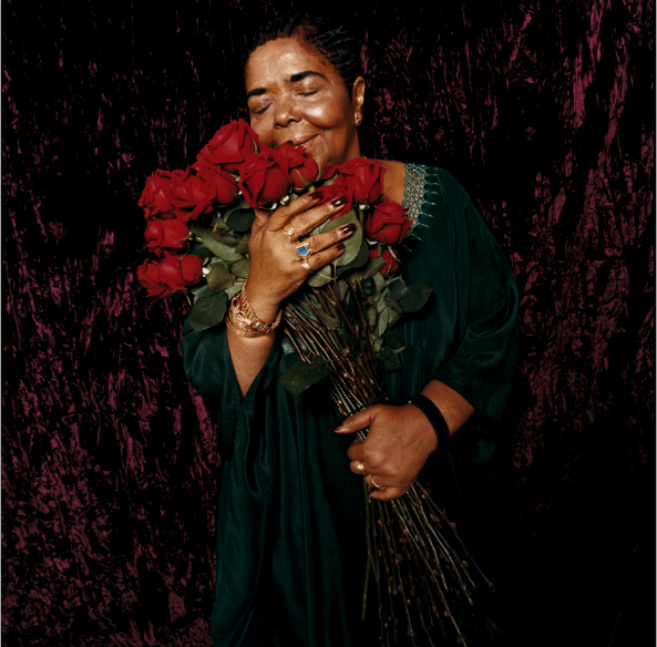 joe-wuerfel-roses_2.jpg