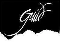 the guild.jpeg