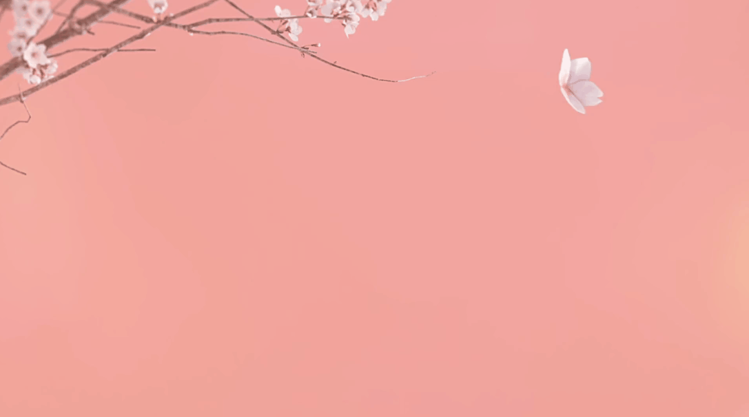 xokitty.gif